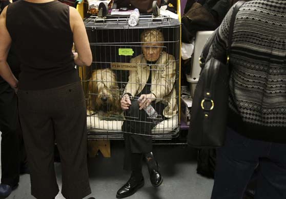 Westminster Kennel Club Dog Show