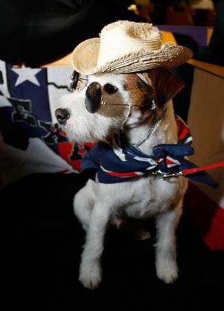 Westminster Kennel Club Dog Show