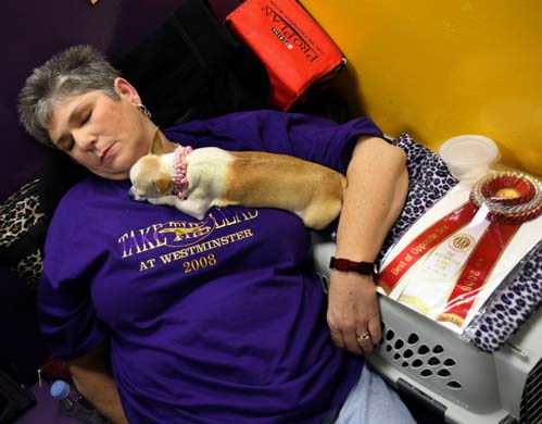 Westminster Kennel Club Dog Show