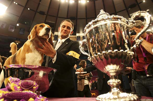 Westminster Kennel Club Dog Show