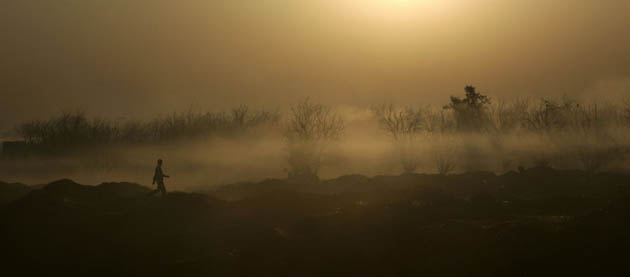 Amritsar, India: A laborer walks through foggy fields