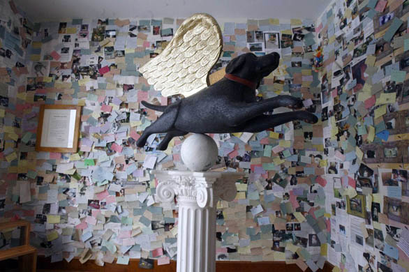 Stephen Huneck's dog chapel