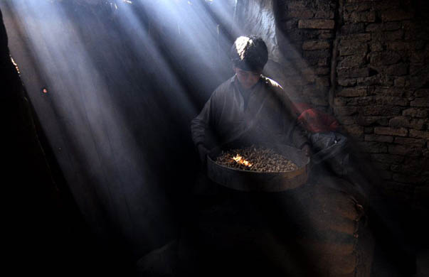 Kabul, Afghanistan: A young man sits on the ground as he works at a traditional dried fruit processing factory