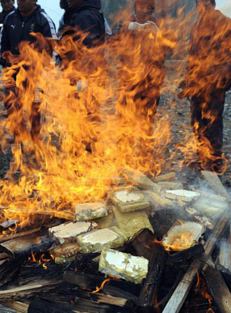 Packs of cocaine hydrochloride are burnt after being seized at a police checkpoint