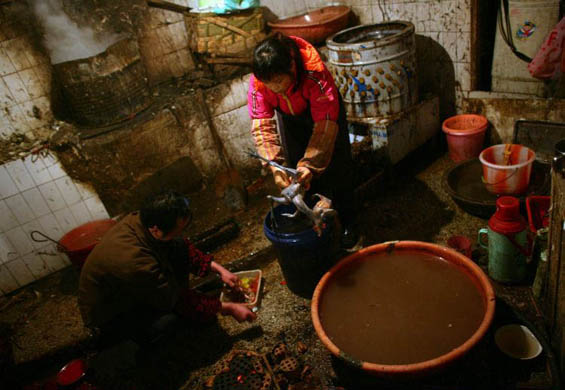 Chongqing, China: Vendors process slaughtered chickens at a market