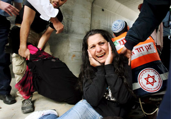 24 Hours in pictures - 28/2/08