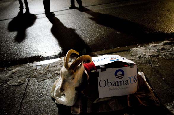 New Hampshire Primary