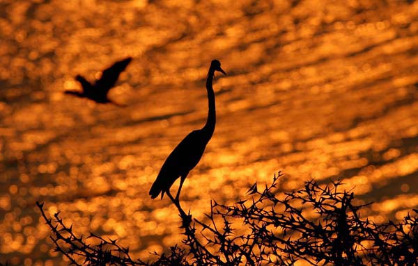 Suchitoto, San Salvador