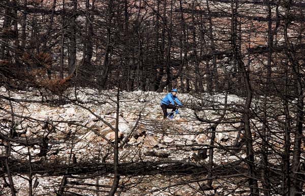 Parnitha National Park, Greece