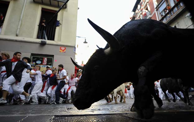 Bull takes the curve