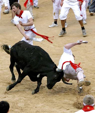 eveler is knocked by a bull in the bullring