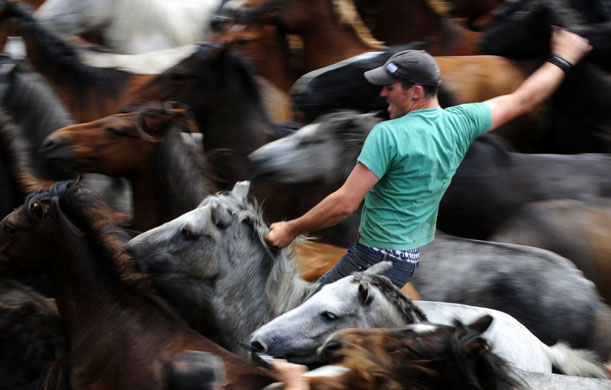 Rapa das bestas fiesta in spain 