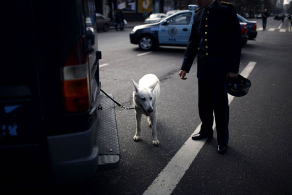 Argentina independence Day 
