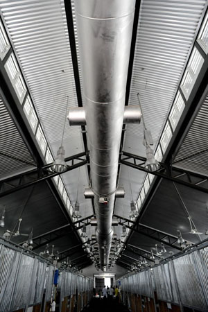 Hong Kong: Members of the press visit the air-conditioned stables of the Shatin Olympic Equestrian venue