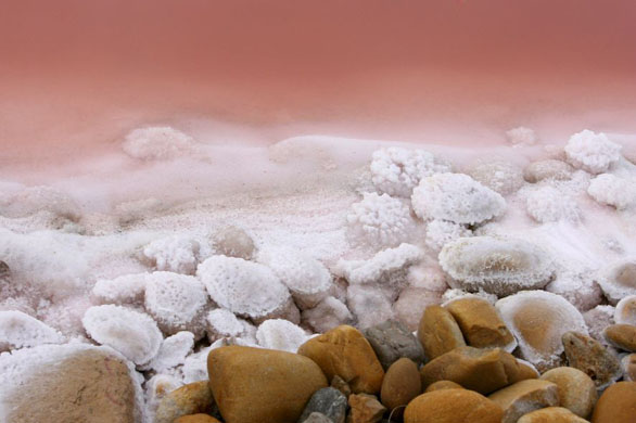 Aigues-Mortes, France: Fleur de sel on rocks in the Salins du Midi