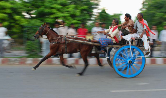 horse and cart race in india 