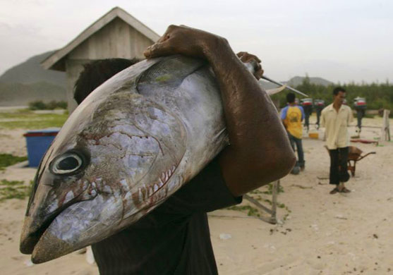 Fisherman in Banda Aceh 