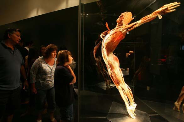 Body Worlds Florida