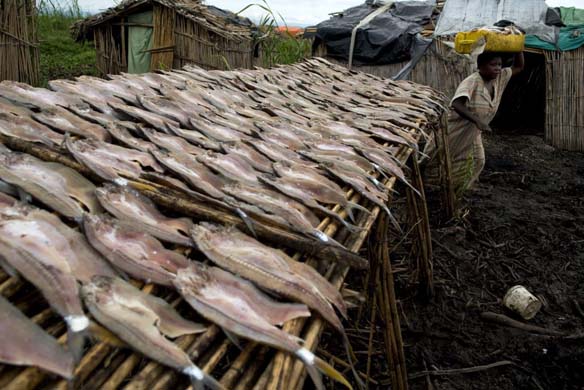 Fish for sale in Uganda