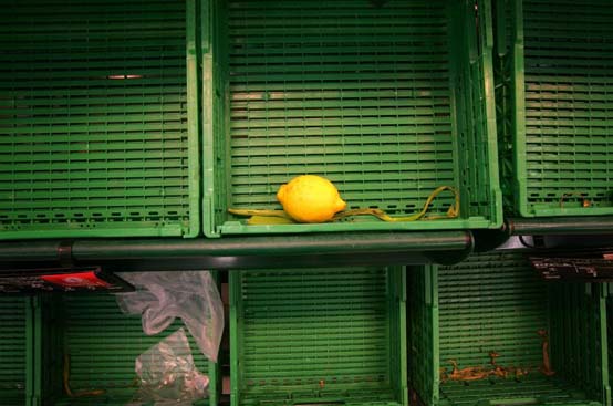 Fuel protests in Spain