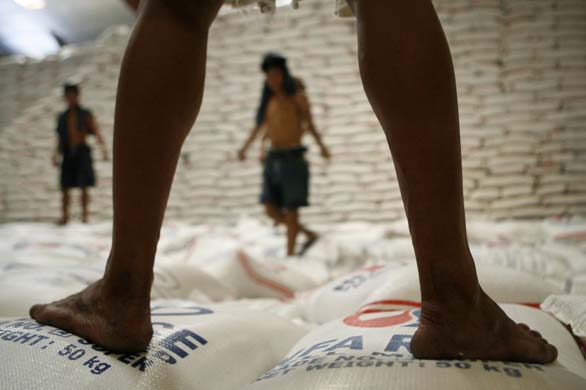 Rice factory workers