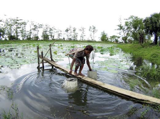 Water collecting in Burma