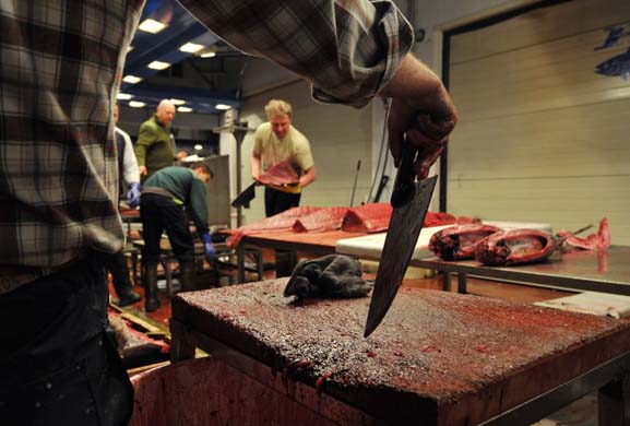 Fish market in Spain