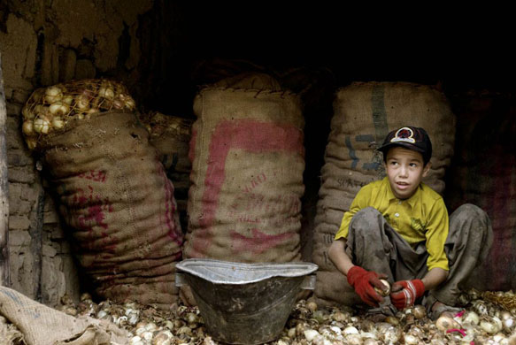 Kabul, Afghanistan: Asadullah, 12, cleans onions