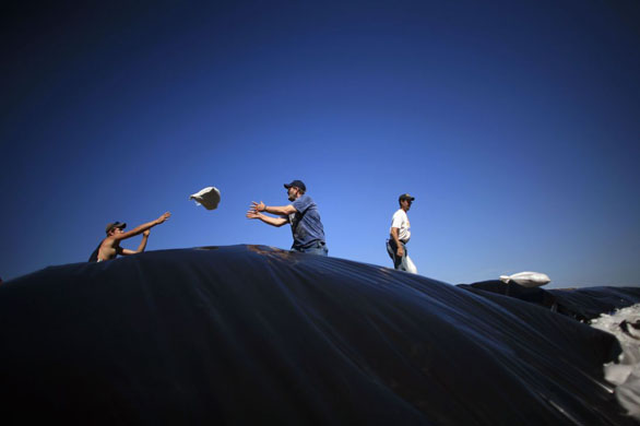 Illinois, US: Residents of Gladstone work to build a levee to protect the town from flood waters. Photograph: Eric Thayer/Reuters