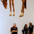 Sydney, Australia: Visitors to the Museum of Contemporary Art pictured with Novecento, a stuffed horse suspended from the ceiling, by Italian artist Maurizio Cattelan. Photograph: Mark Baker/AP