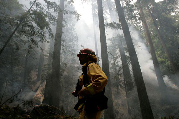 Big Sur, US: A firefighter surveys a fire-ravaged forest