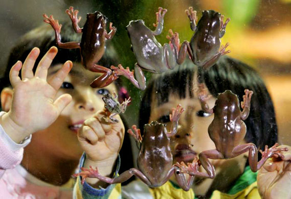 24 hours in pictures 5/3/8