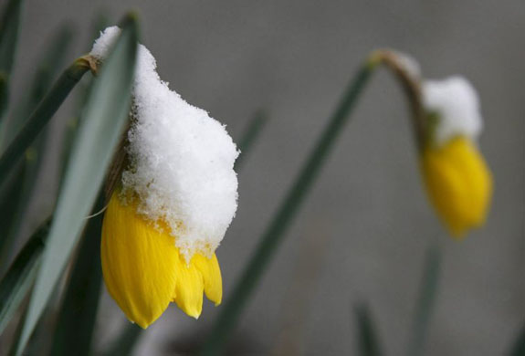 24 hours in pictures 5/3/8