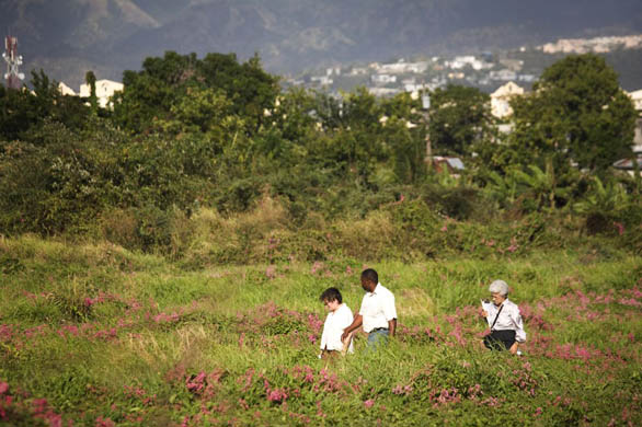 Rose Town in Jamaica