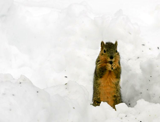 24 hours in pictures - 11/1/8