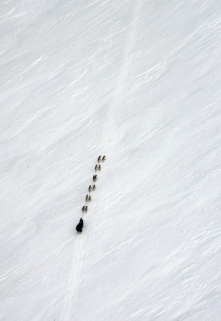 24 hours in pictures - 11/3/8