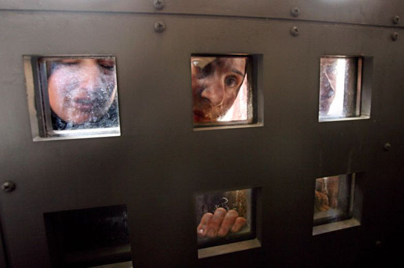 24 hours in pictures - 13/3/8