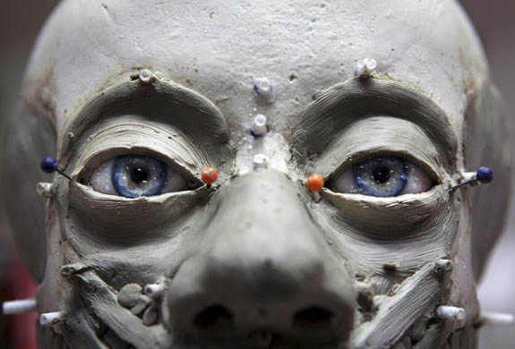 Maja d'Hollosy works on a reconstruction of the head of a boy between the age of five and ten