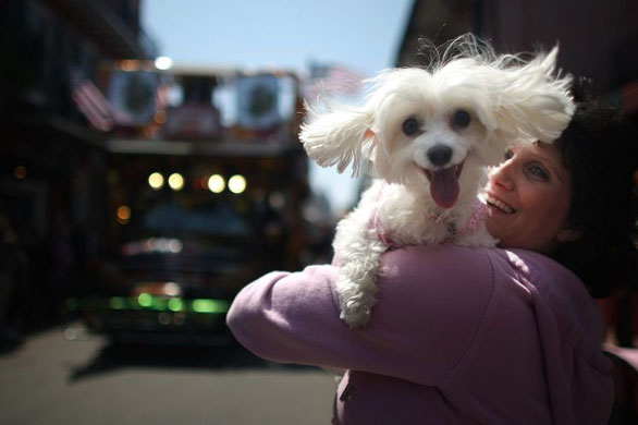 24 hours in pictures 24/3/08