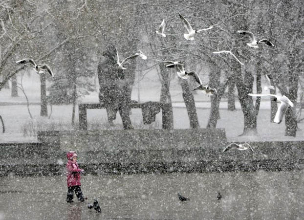 Minsk, Belarus: A child looks at birds during a snowfall in central park