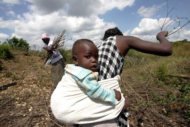 Rusape, Zimbabwe: Women look for firewood for cooking food