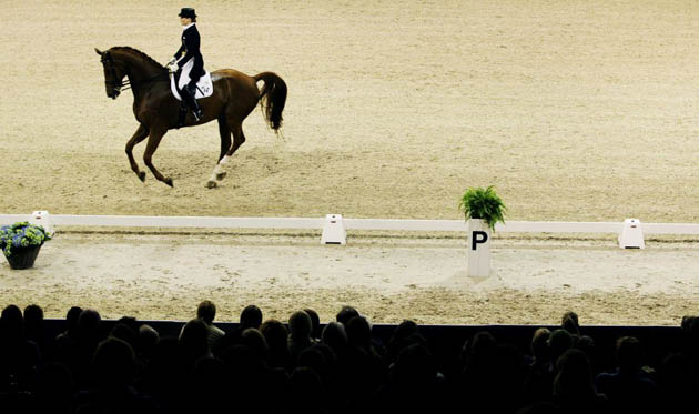 Den Bosch, Netherlands: Isabell Werth competes with Warum Nicht during the Grand Prix Worldcup-final dressage