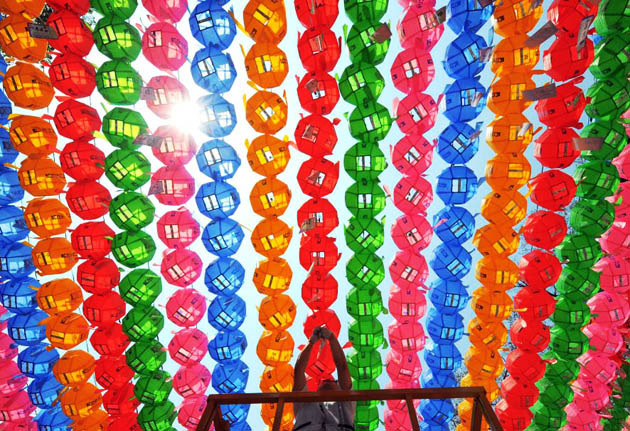 A Buddhist follower hangs name tags of those who donated money and lotus lanterns at Chogye Temple