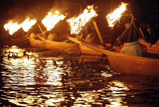 Cormorant fishing in Japan
