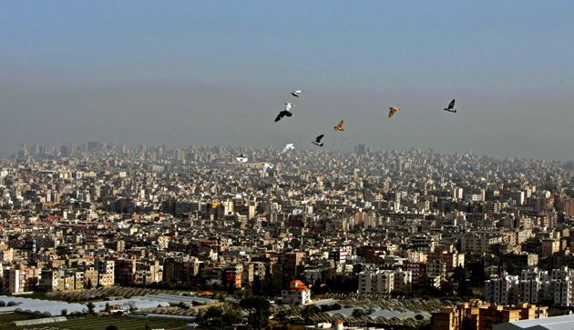 Pigeons fly over the town of Shwayfat