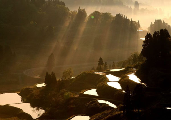 Niigata, Japan: The region is renowned as one of Japan's best rice-growing area. The rice terraces are used not only as for rice growing but also act as natural dams
