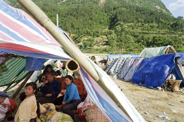 Earthquake survivors