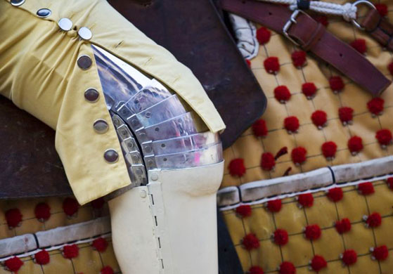 24 hours in pictures 16/5/8 