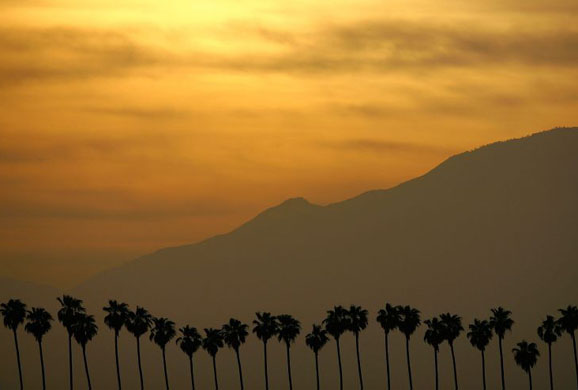 24 hours in pictures 16/5/8 