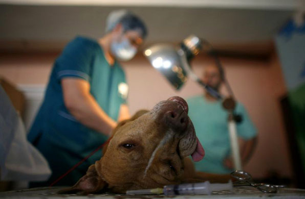 24 hours in pictures 16/5/8 